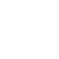 Excellence icon